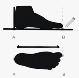 TABI DE DOJO PARA NIÑO TALLE 21CM Y TALLE 23CM - Imagen 2